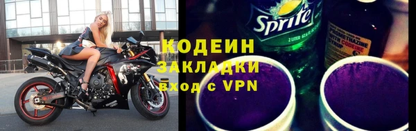 прущие грибы Балахна