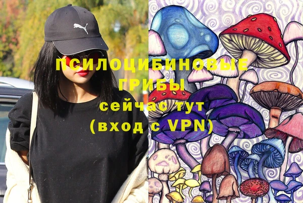 прущие грибы Балахна
