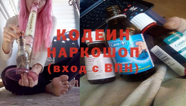 прущие грибы Балахна