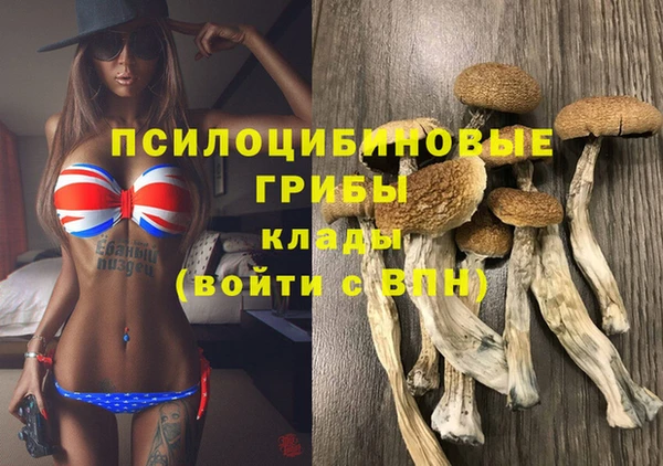 дживик Балабаново