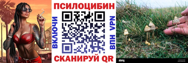 Галлюциногенные грибы Cubensis  Гагарин 
